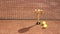 Golden champion trophy and balls on a red clay tennis court and net shadow. Winner in tennis tournament concept