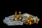 Golden chess pieces on american dollars against dark background