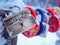 Golden chest Padlock Outdoor Winter Valentine Day Romance Love