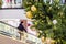 Golden Christmas balls and garland on a decorated fir tree in Shopping Mall. Blurred people on escalator, in business center make