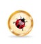 Golden circle label (button) with ladybug