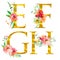 Golden classical form letters E, F, G, H decorated with watercolor flowers and leaves, isolated on white background