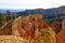 Golden cliffs of Bryce Canyon National Park, Utah