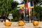 Golden coconuts on the beach on a background of flags of different countries of the world. Friendship of Peoples concept