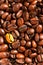 Golden coffee bean