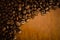 Golden coffee beans on a wood table