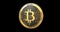 Golden coin Bitcoin BTC cryptocurrency spinning in perfect loop.