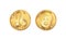 Golden coin one pig nose. Heads and tails for decoration and design. New year 2019 oink bank with the image piglet. Vector illustr