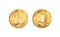 Golden coin one pig nose. Heads and tails for decoration and design. New year 2019 oink bank with the image piglet. Vector illustr