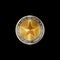 Golden coin template with star shape. Vector digital currency symbol made of gold and silver metal.