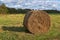 A golden colored round hay bale lying on a harvested stubble field. Rolled Straw stack on agrofarm field