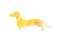 Golden colored shabby dachshund
