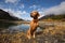 Golden colour pointer dog sitting by a mountain lake