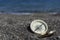 Golden compass on the seashore. Focus on compass