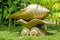 Golden conch statue used to decorate the park.