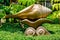 Golden conch statue used to decorate the park.