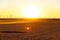 Golden cornfield at sunset with wind turbines in the background