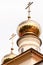 Golden cupola of Tikhvin Cathedral of Dormition