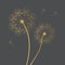 Golden dandelion icon