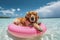 Golden Days: A Beautiful Golden Retriever Relaxing on a Beach Float with Sunglasses - Generative AI