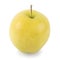 Golden Delicious Apple (w/path)