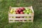 Golden Delicious, Gala and Granny Smith apples in a farmers market crate, Serbia