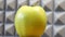 Golden Delicious is a yellow apple, one of the 15 most popular cultivars in the United States. One apple close-up, side view.