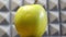 Golden Delicious is a yellow apple, one of the 15 most popular cultivars in the United States. One apple close-up, side view.