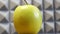 Golden Delicious is a yellow apple, one of the 15 most popular cultivars in the United States. One apple close-up, side view.