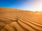 Golden desert sand during sunset as background