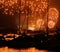 Golden display of fireworks in harbor landscape of Sydney