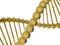 Golden DNA helices