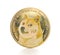 The golden dogecoin.