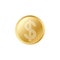 Golden Dollar coin. Realistic lifelike gold Dollar coin.