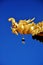 Golden Dragon Head with Blue Sky