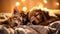 Golden Dreams: A Whimsical Portrait of Kitty Kittens Sleeping To