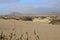 Golden dunes of Corralejo Natural Park. Desert beauty.