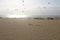 Golden dunes of Corralejo Natural Park. Desert beauty.