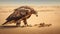 Golden Eagle On Desert Sand: A Concept Art Style Baroque Animal Shot