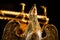 Golden Eagle Lectern at Wymondham Abbey