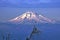 Golden Eagle on Sunrise Mountain Background