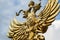 Golden eagle symbol of the emblem of Russia