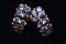 Golden ear rings with purple stones