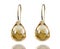 Golden earrings with gemstone isolated white