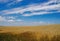 Golden ears of ripe wheat. Closeup ears on a wheat field against a blue sky and white clouds