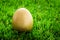 Golden Easter egg hidden in green grass