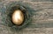 Golden easter egg in nest on wooden background