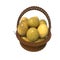 golden Easter eggs, in a woven bamboo basket, on a white background