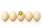Golden egg with broken shell among usual chicken eggs, clipping path included