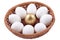 Golden egg and jast eggs in wicker bowl on a white